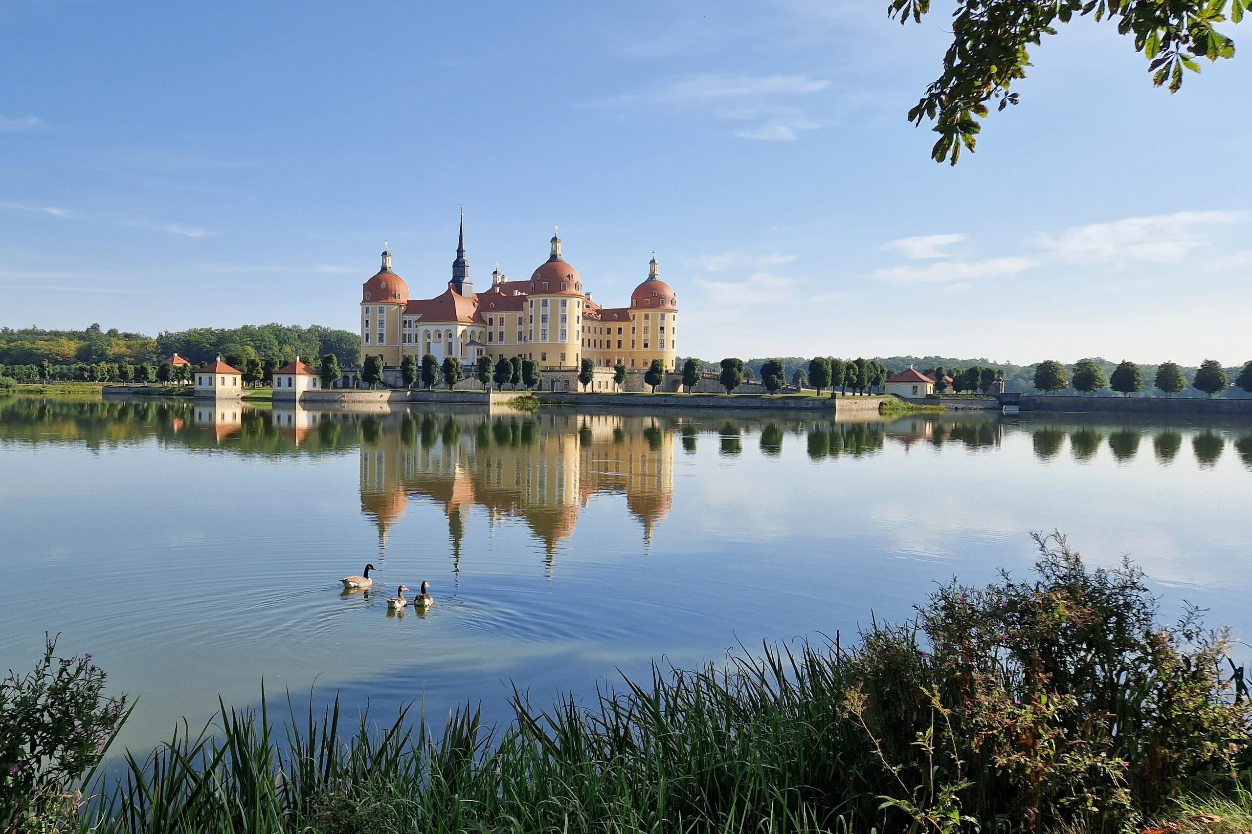 csm_Moritzburg_Dresden_Hans_328c
